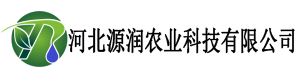 泰山集團(tuán)